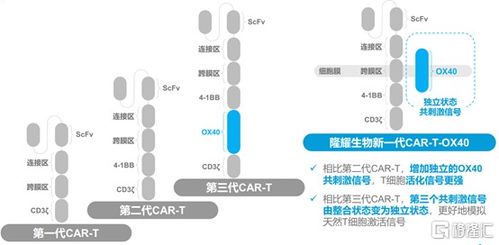 中国生物科技服务 8037.hk 自主创新car t疗法的明日之星